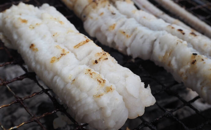 夏が旬の『ハモ』の生態　刺身で食べない理由は血液に含まれる毒？
