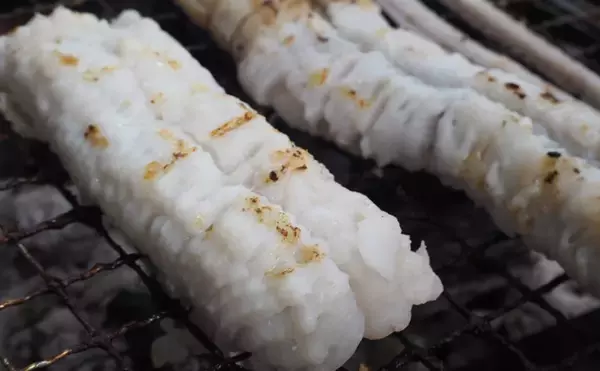 「夏が旬の『ハモ』の生態　刺身で食べない理由は血液に含まれる毒？」の画像