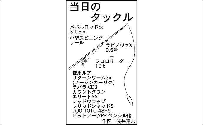 バスフィッシングでスモール ラージ計5匹 ノーシンカーのワームにヒット 21年9月1日 エキサイトニュース