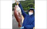 「【愛知・三重】イカダ＆海上釣堀最新釣果　カカリ釣りで62cm良型マダイ」の画像7