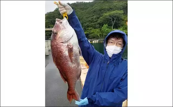 「【愛知・三重】イカダ＆海上釣堀最新釣果　カカリ釣りで62cm良型マダイ」の画像