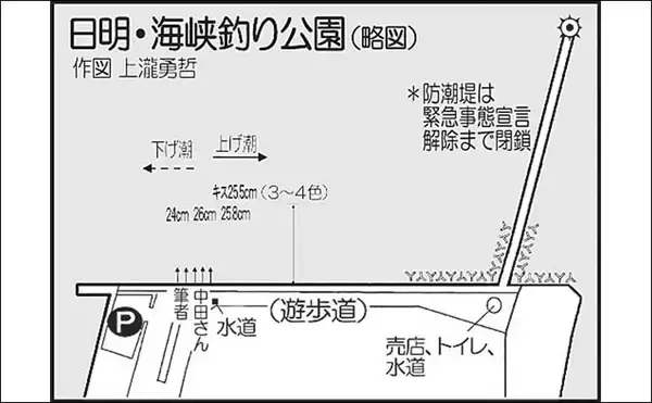 「夜の投げキス釣りで26.5cm頭に12尾　ダブルヒット頻発で快引を堪能」の画像