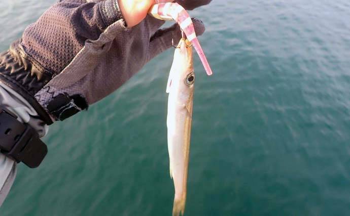 秋の ショゴゲーム 開幕 投げないルアー釣り パチ専ダート とは 21年9月4日 エキサイトニュース 3 3