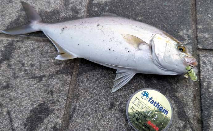 秋の ショゴゲーム 開幕 投げないルアー釣り パチ専ダート とは 21年9月4日 エキサイトニュース 3 3