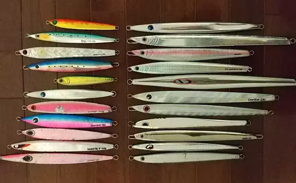 明石海峡で青物ジギング秋シーズン開幕　肝となるタチウオパターンとは？