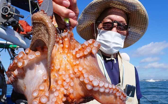エギタコ釣りでビギナー含め船中全員安打 1 5kg頭に5 尾の快釣 21年9月8日 エキサイトニュース