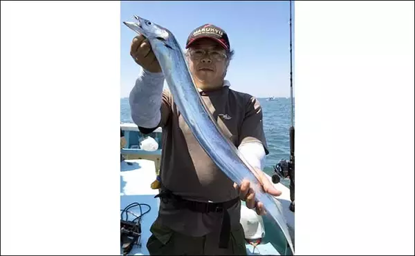 「【愛知】沖のエサ釣り最新釣果　タチウオ＆カワハギで数釣り好機到来」の画像