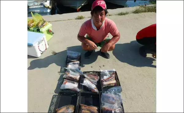 「【愛知】沖のエサ釣り最新釣果　タチウオ＆カワハギで数釣り好機到来」の画像