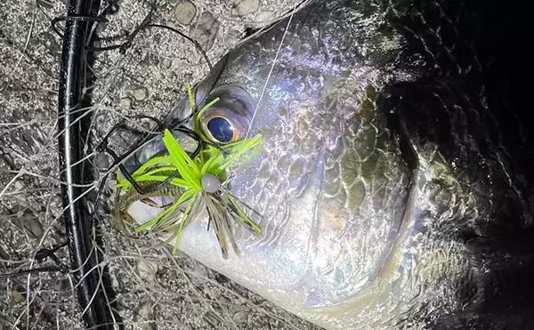 「『ライトブリーム』ゲームでチヌ2尾　最終手段の「スモラバ」にヒット」の画像