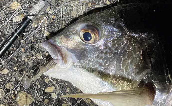 2021シーズン終盤の「ライトブリーム（フィネスチニング）」を振り返る