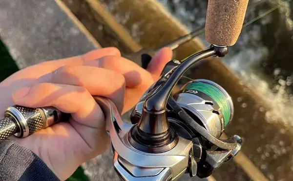 「2021シーズン終盤の「ライトブリーム（フィネスチニング）」を振り返る」の画像