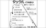 「陸っぱりアオリイカ釣り超入門：関西圏の代表的な釣り方3選」の画像3