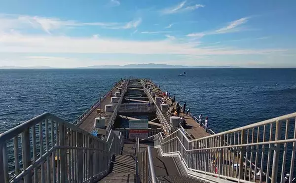 「関西エリア「陸っぱりタチウオ」超入門：大阪湾おすすめ釣り場８選」の画像