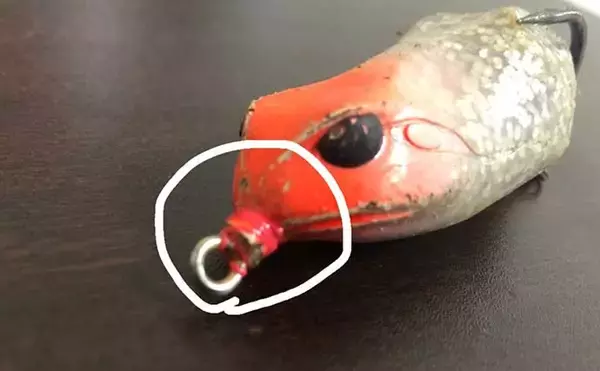 「ライギョ釣り用『フロッグ』ルアーのチューニング法　精度が釣果に直結？」の画像