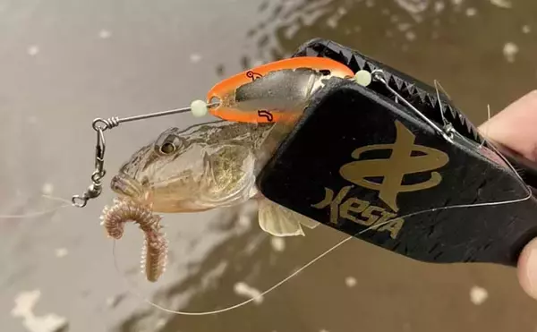 ハゼ釣り初体験の子供と楽しむ『ハゼスプーン』釣り　型よく今後に期待