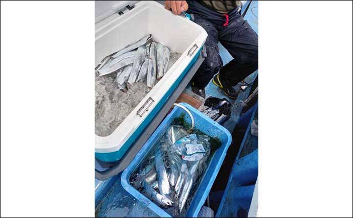 【三重】沖釣り最新情報　レンタルボートで94cm特大マダイ堂々参上