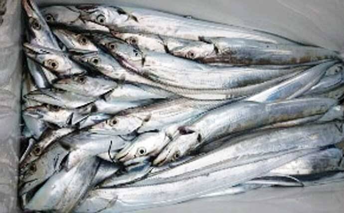 【三重】沖釣り最新情報　レンタルボートで94cm特大マダイ堂々参上