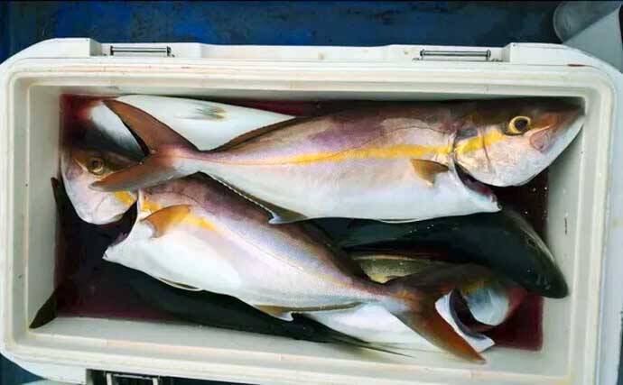 【三重】沖釣り最新情報　レンタルボートで94cm特大マダイ堂々参上