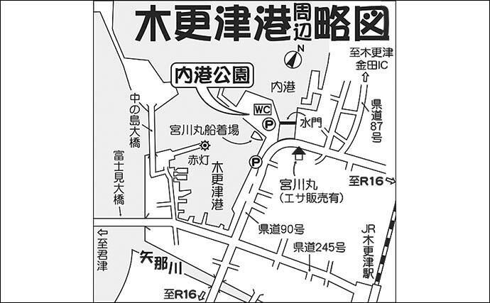 堤防サビキ釣りで10cm級アジが入れ食い 南蛮漬けに最適サイズか 21年10月10日 エキサイトニュース