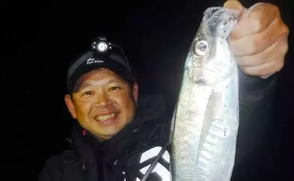 大型狙える『サーフアジング』入門解説　30cm超えはザラで強引は青物級