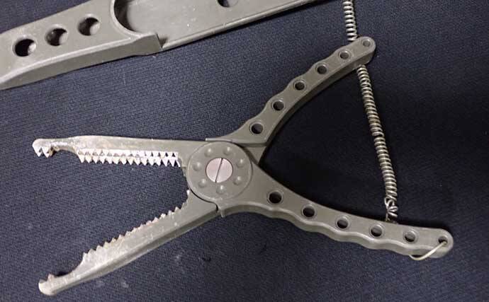 厄介なゲスト魚『アイゴ』が大量発生中　危険な「毒針」対策グッズ3選