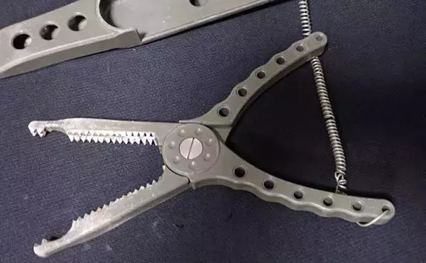 「厄介なゲスト魚『アイゴ』が大量発生中　危険な「毒針」対策グッズ3選」の画像