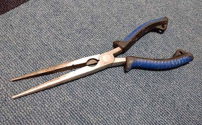 厄介なゲスト魚『アイゴ』が大量発生中　危険な「毒針」対策グッズ3選