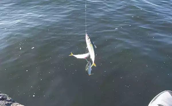 「100均『メタルジグ』の活用方法　釣具メーカー品との使い分け術とは？」の画像