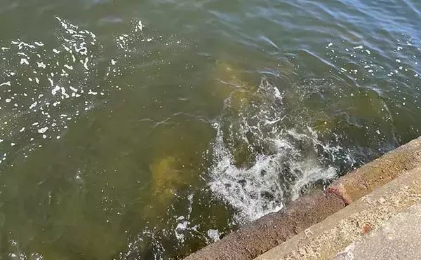 「100均『メタルジグ』の活用方法　釣具メーカー品との使い分け術とは？」の画像