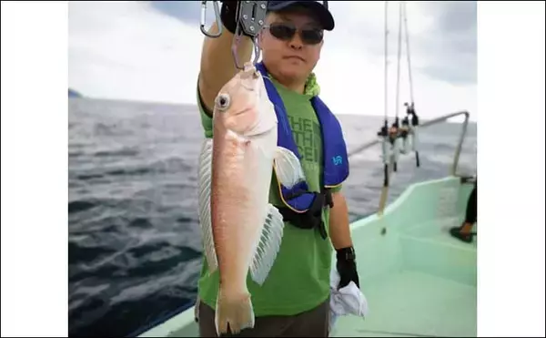 「【愛知・三重】沖のルアー最新釣果　ジギング＆タイラバで青物絶好調」の画像