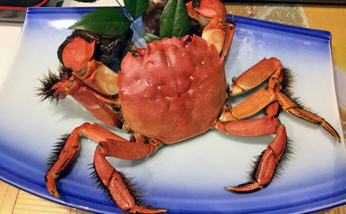 各地で獲れるモクズガニは美味　河川によってルールがあるので要注意？
