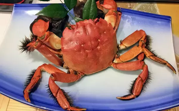 「各地で獲れるモクズガニは美味　河川によってルールがあるので要注意？」の画像