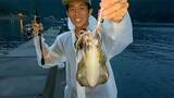 「秋の日本海アオリイカエギングが好調　2日間の釣行で12匹キャッチ」の画像2