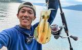 「秋の日本海アオリイカエギングが好調　2日間の釣行で12匹キャッチ」の画像6