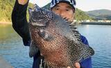 「沖堤防での石物釣りで2kgイシガキダイ手中　ガンガゼの丸掛けにヒット」の画像1