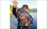 「沖堤防での石物釣りで2kgイシガキダイ手中　ガンガゼの丸掛けにヒット」の画像3