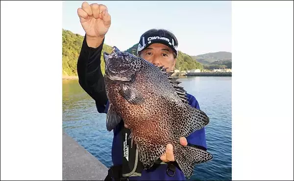 「沖堤防での石物釣りで2kgイシガキダイ手中　ガンガゼの丸掛けにヒット」の画像
