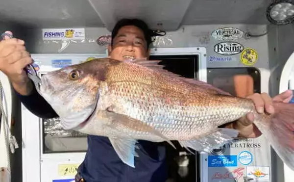 「【愛知・三重】沖のルアー最新釣果　タイラバにまさかのバショウカジキ」の画像