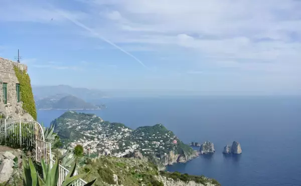 「地中海を砂漠化するラビットフィッシュ　正体は日本でお馴染みの厄介者？」の画像