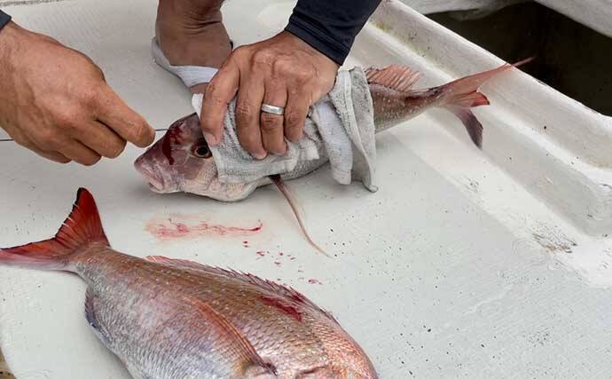 釣り&フランピングができる『フィッシャリーズフィッシャリーズ』に注目