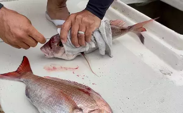 「釣り&フランピングができる『フィッシャリーズフィッシャリーズ』に注目」の画像