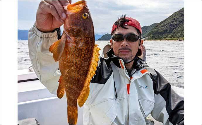 レンタルボートで船中アオリイカ45匹　ゲストのカマス68匹も好土産に