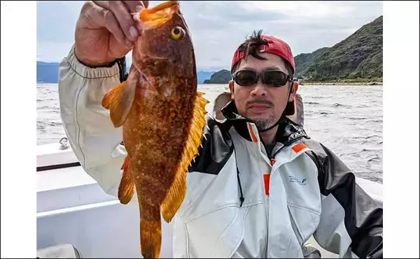 「レンタルボートで船中アオリイカ45匹　ゲストのカマス68匹も好土産に」の画像