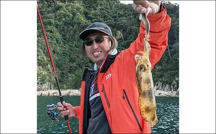 レンタルボートで船中アオリイカ45匹　ゲストのカマス68匹も好土産に