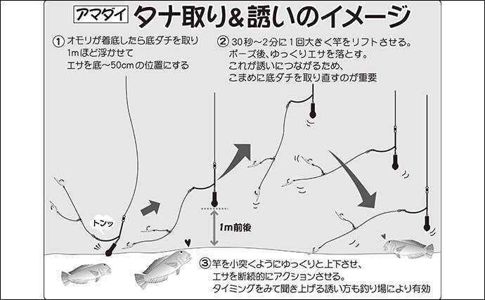 相模湾 船アマダイ釣り のキホン こまめなタナ取りが釣果の秘訣 21年10月24日 エキサイトニュース 2 2