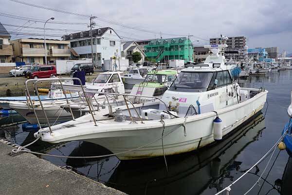 今週の 船釣り情報 特選釣果 アオリだけじゃない秋イカ釣りを楽しもう 21年10月21日 エキサイトニュース 3 3