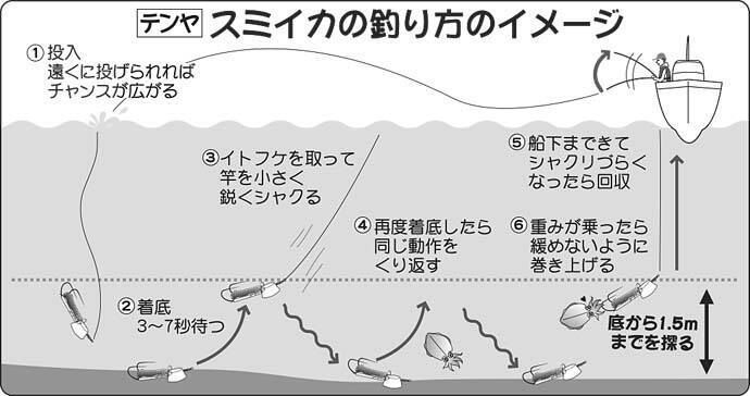 東京湾スミイカシーズンが開幕 基本的な釣り方と最新の釣況を紹介 21年10月31日 エキサイトニュース 2 2
