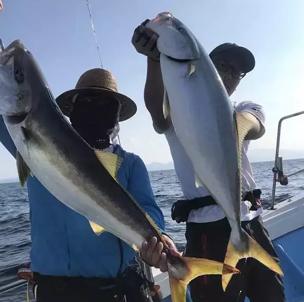 「手巻きジギングタックル流用で落とし込み釣りに挑戦　ブリ好捕に満足」の画像