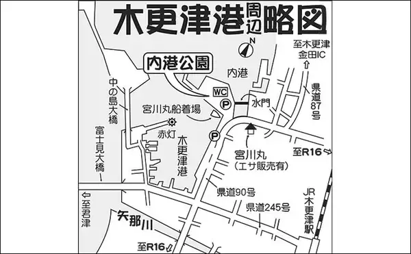 「堤防のお手軽サビキ釣りでアジ35尾キャッチ　早朝に入れ食いタイム到来」の画像