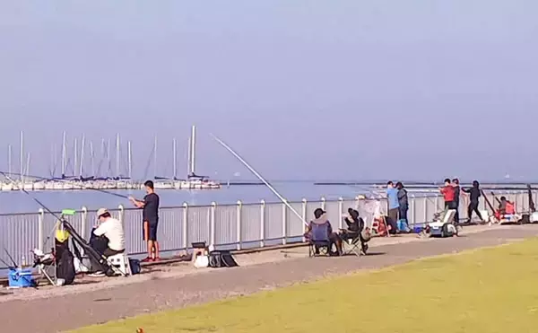 「堤防のお手軽サビキ釣りでアジ35尾キャッチ　早朝に入れ食いタイム到来」の画像